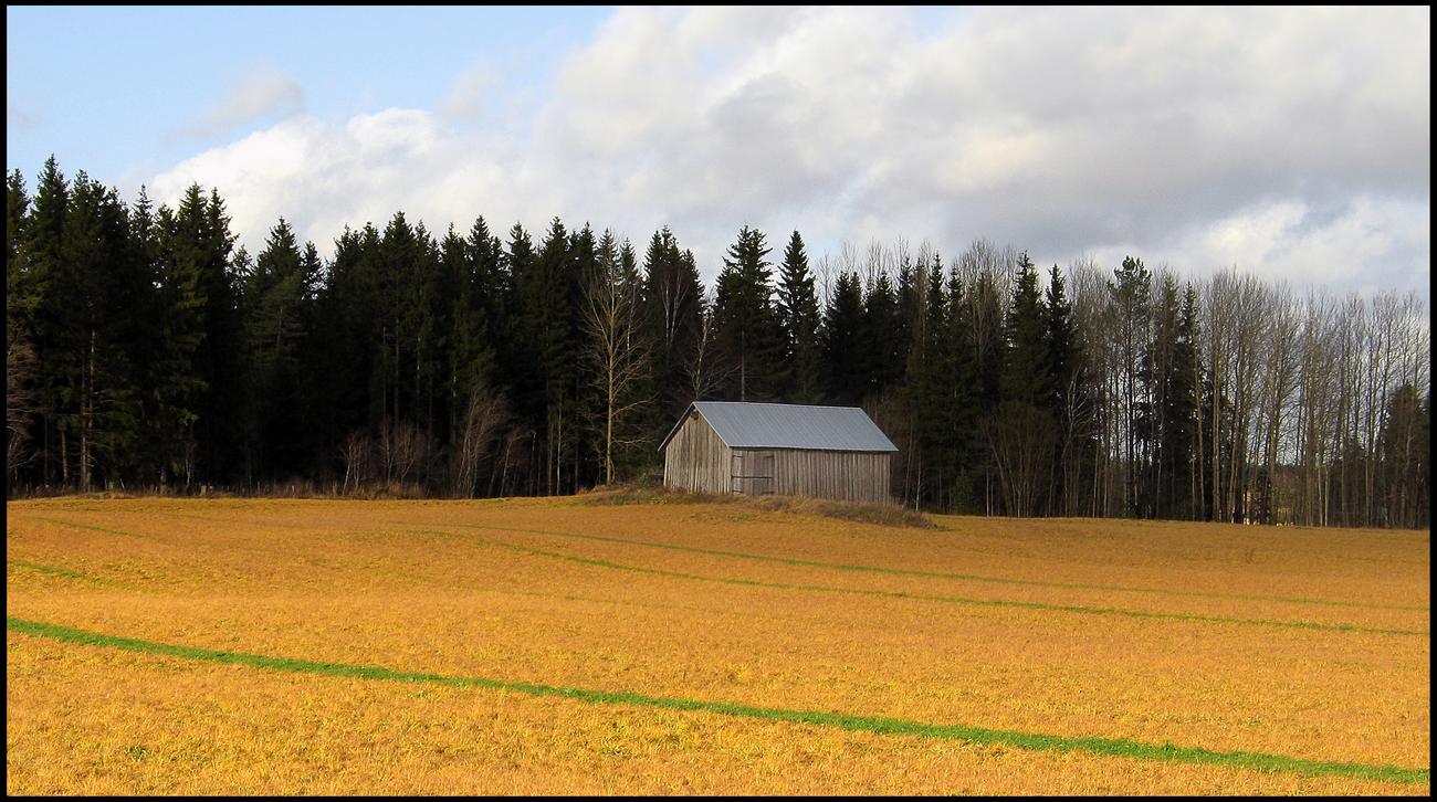 photo "Suomi, October" tags: landscape, travel, Europe, autumn