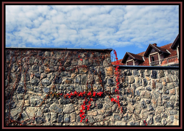 photo "Sremski Karlovci  SERBIA" tags: architecture, landscape, 