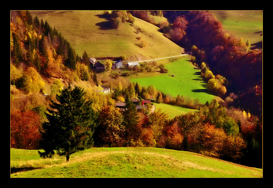 photo "Colors of Fall" tags: landscape, travel, Europe, autumn