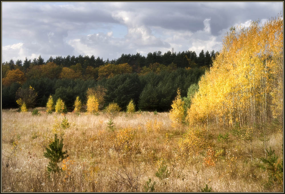 фото "Осенняя картинка" метки: пейзаж, осень