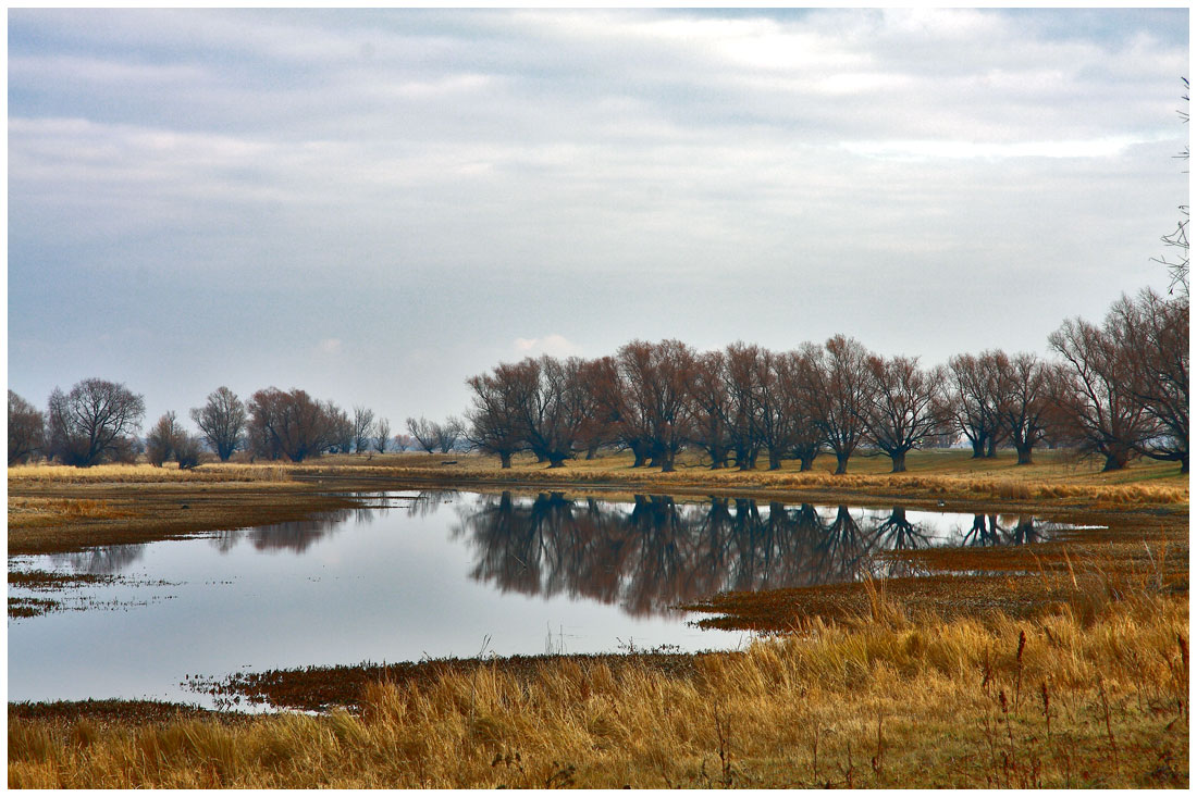 photo "***" tags: landscape, autumn