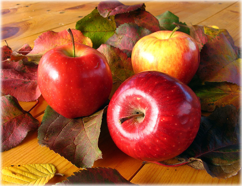 photo "The Apples in a Leaves" tags: nature, still life, 