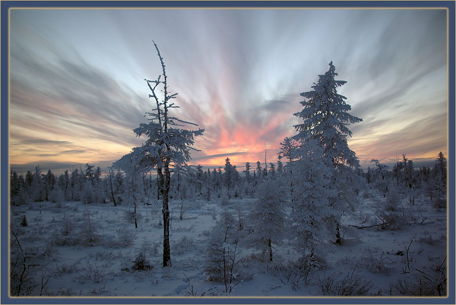 photo "***" tags: landscape, forest, sunset