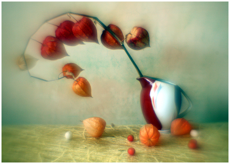photo "***" tags: still life, nature, flowers