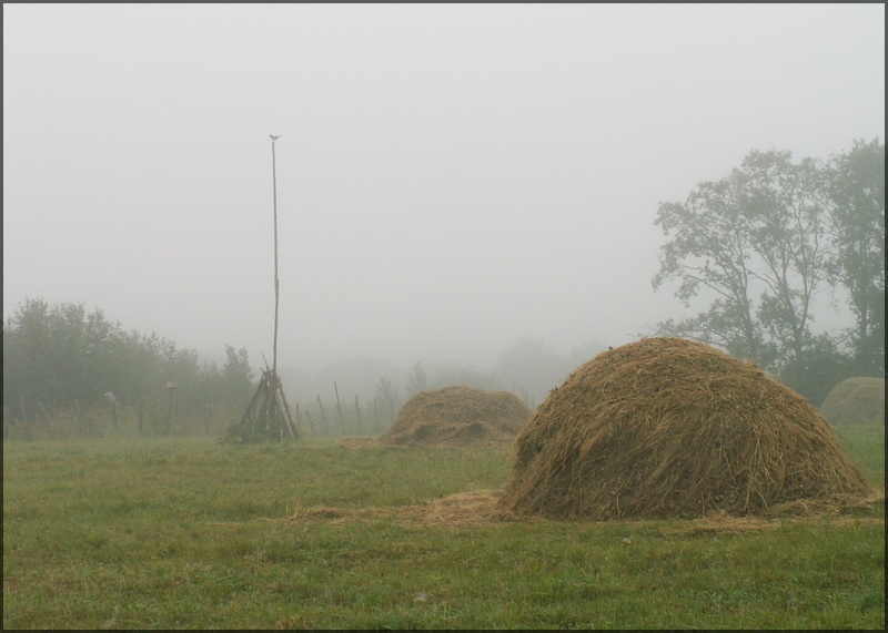 photo "***" tags: landscape, summer