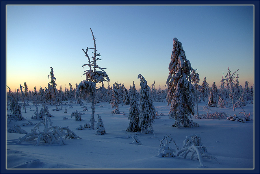 фото "Морозное утро" метки: пейзаж, зима, лес