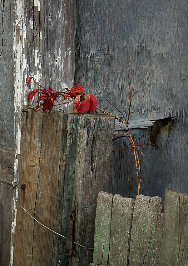 фото "Старый дом" метки: город, 