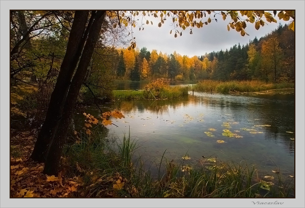 фото "У озера." метки: пейзаж, вода, осень