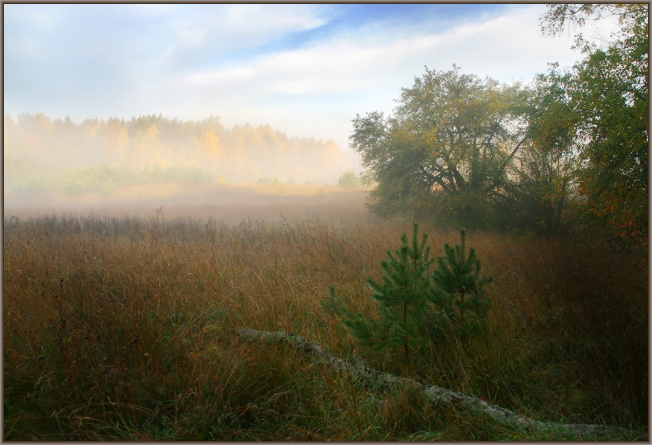 photo "Foggy morning." tags: , 
