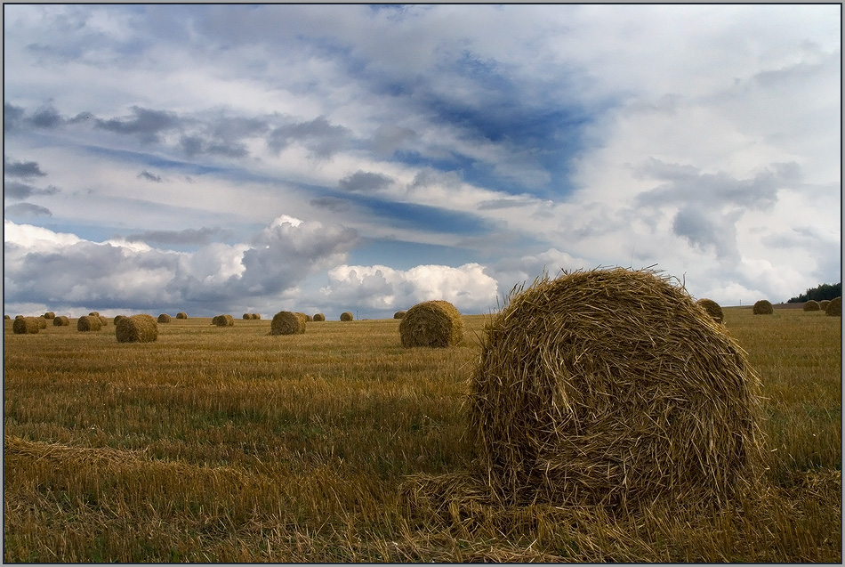 photo "Autumn harvest season." tags: landscape, autumn