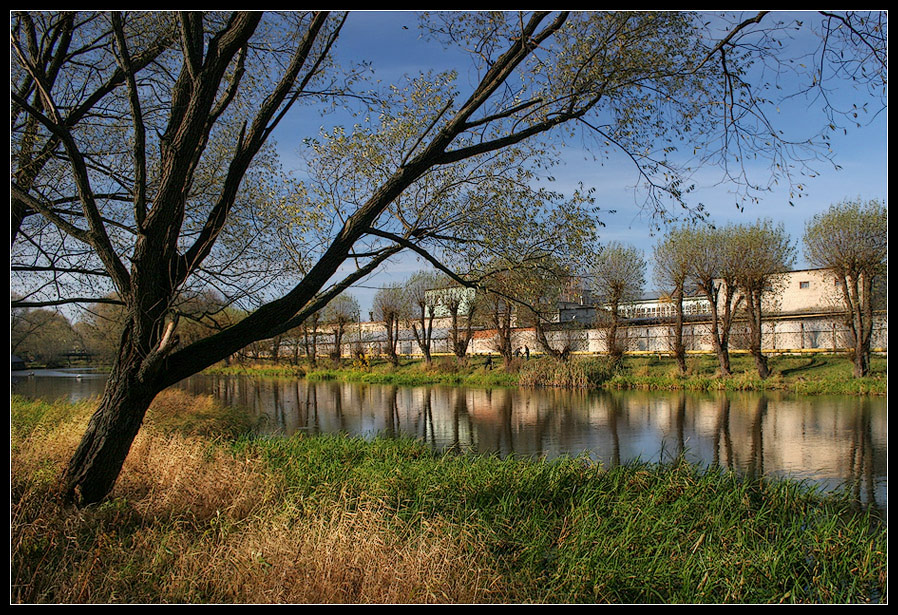 photo "willows" tags: landscape, autumn, water