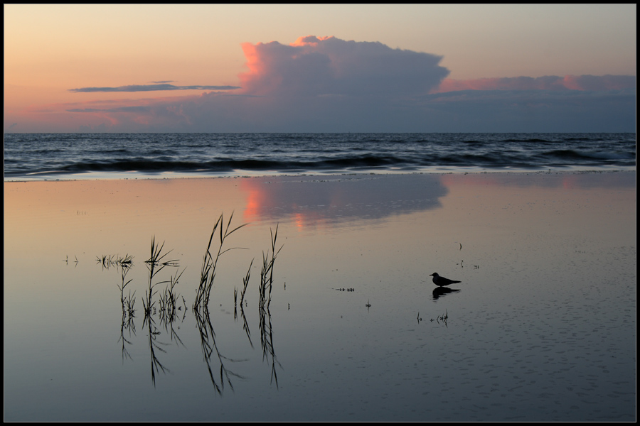 photo "***" tags: landscape, sunset, water