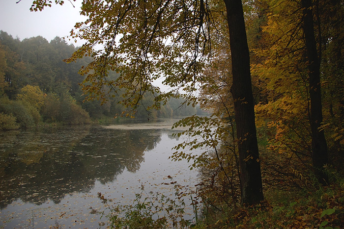 фото "Притихший пруд." метки: пейзаж, вода, осень