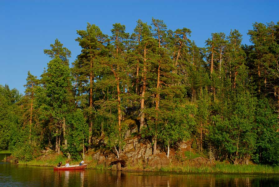 фото "Сосны Валаама" метки: пейзаж, вода, лес