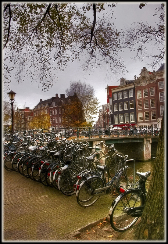 photo "Fall in Amsterdam" tags: architecture, landscape, autumn