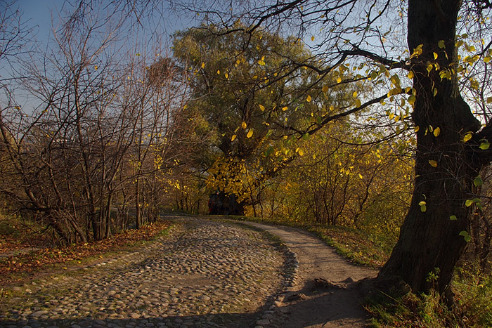 photo "***" tags: landscape, autumn