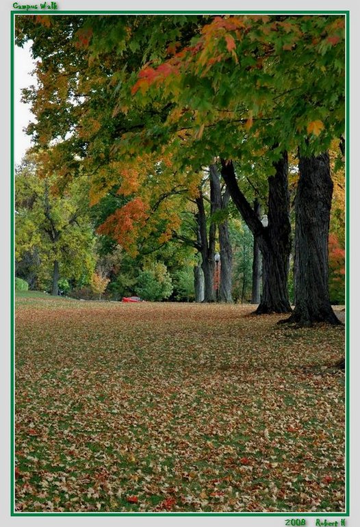 photo "Campus Walk" tags: landscape, autumn