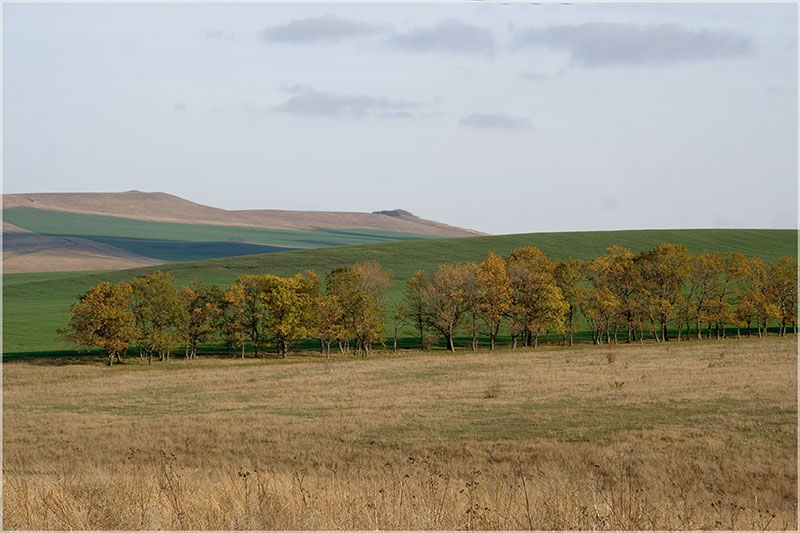 photo "The Caucasian autumn" tags: , 