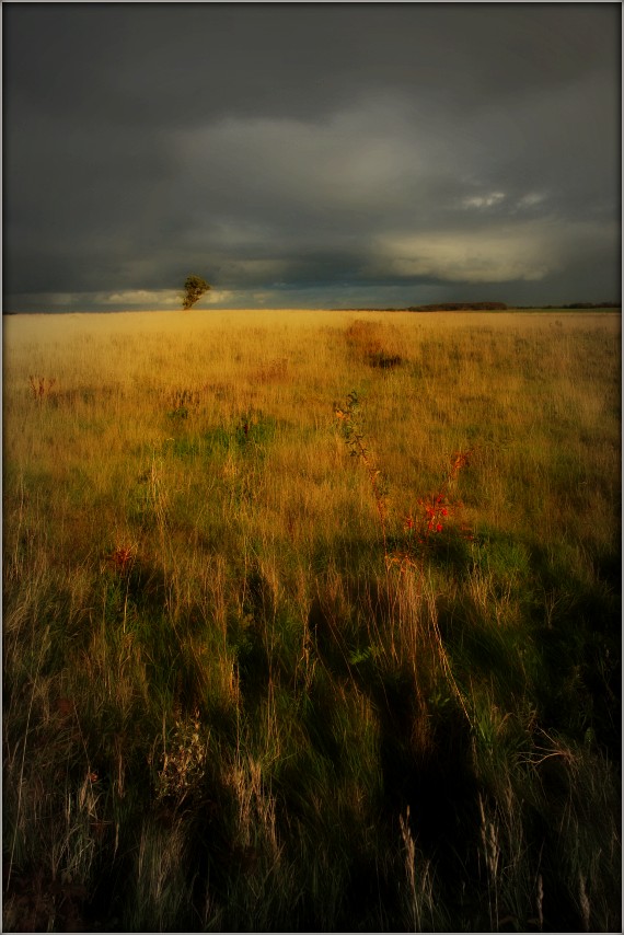 photo "Луга" tags: landscape, autumn