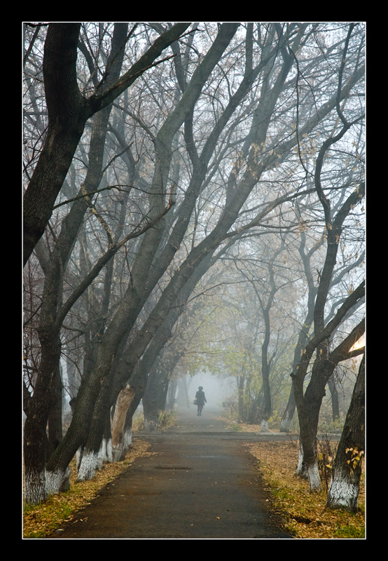 photo "***" tags: landscape, city, autumn