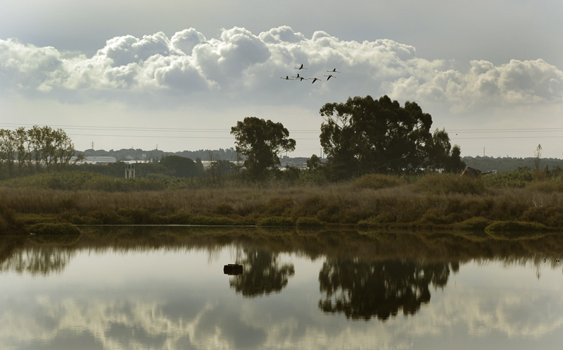 photo "RIVER TAGUS ESTUARY" tags: landscape, genre, water
