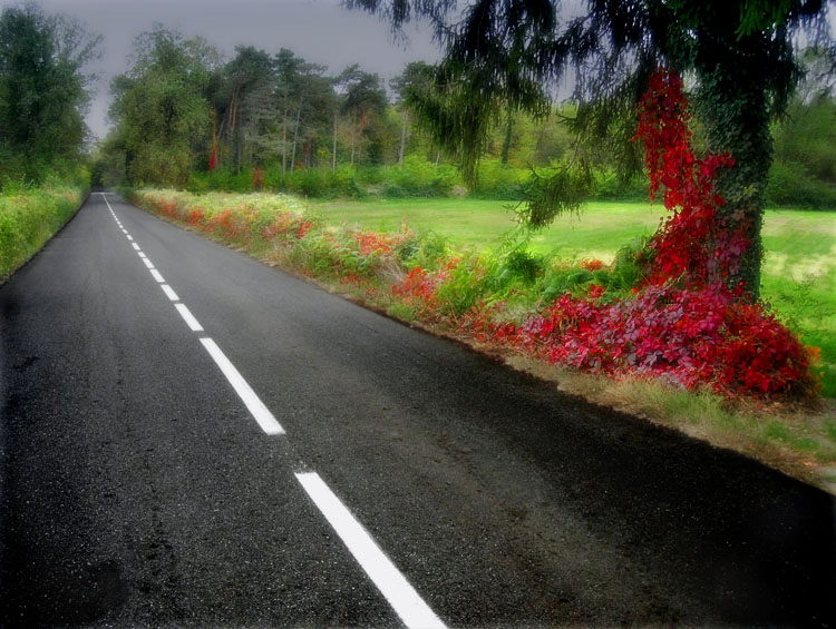 фото "Street for autumn land" метки: пейзаж, осень