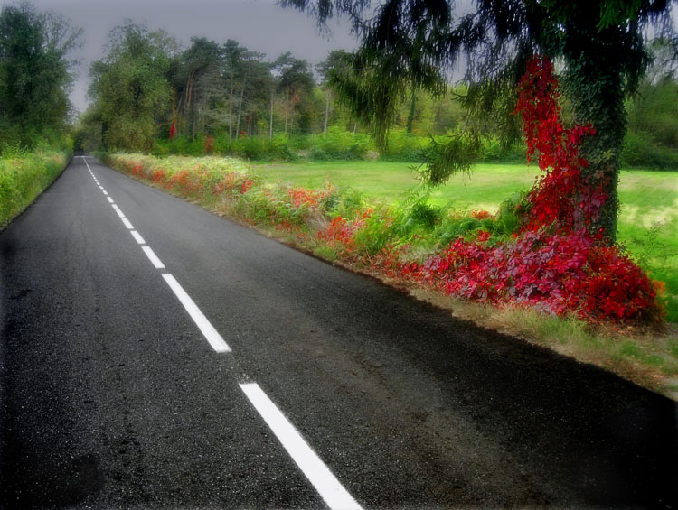 photo "Street for autumn land" tags: landscape, autumn