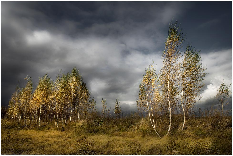 photo "Wind" tags: landscape, autumn, clouds