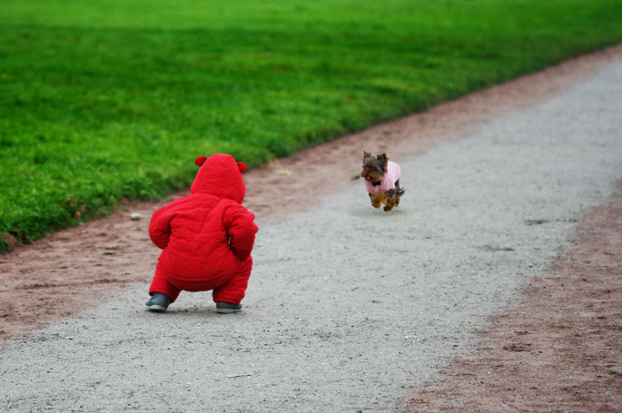 photo "Corrida." tags: genre, 