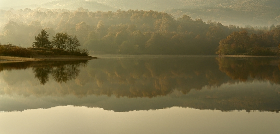 фото "===" метки: пейзаж, вода, лес