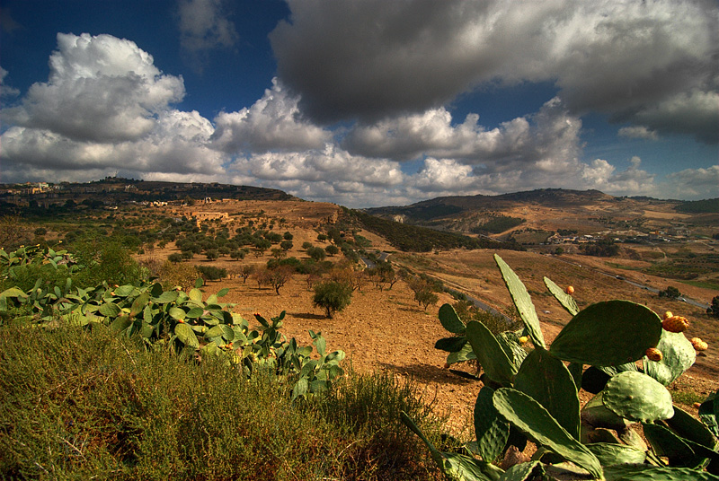 photo "About cactuses and olive trees" tags: landscape, travel, Europe, clouds