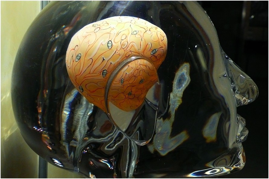 photo "glass skull" tags: misc., abstract, 