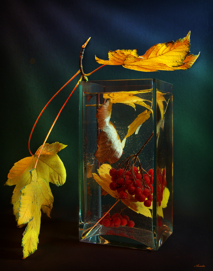 photo "Autumn cocktail" tags: still life, 
