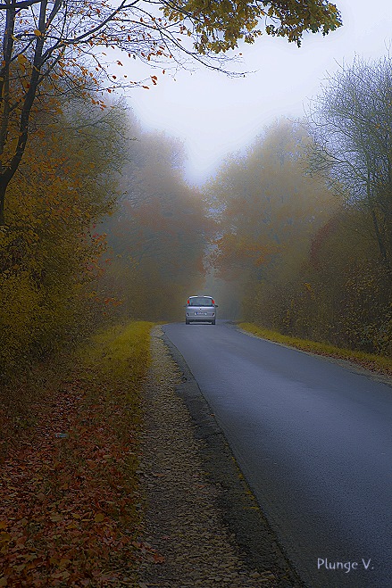 фото "Autum driving" метки: , 