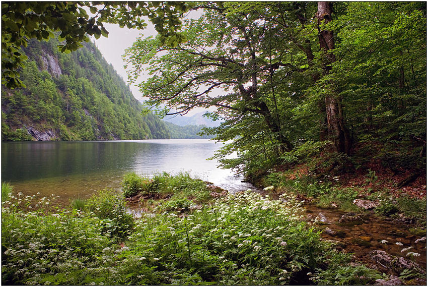 photo "Bad weather on Toplitz-See" tags: landscape, mountains, water