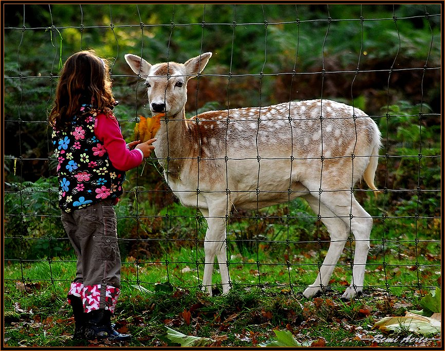 photo "two friends ! !" tags: portrait, nature, children, pets/farm animals