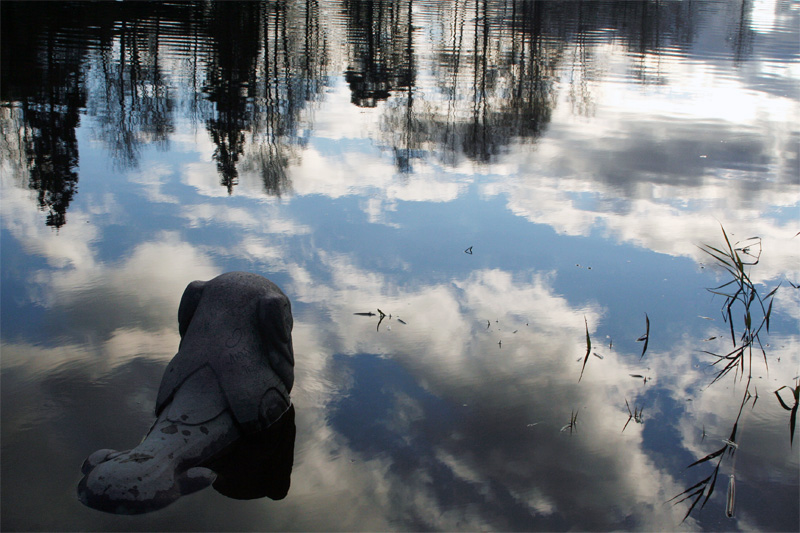 photo "Sailing love" tags: landscape, clouds, water