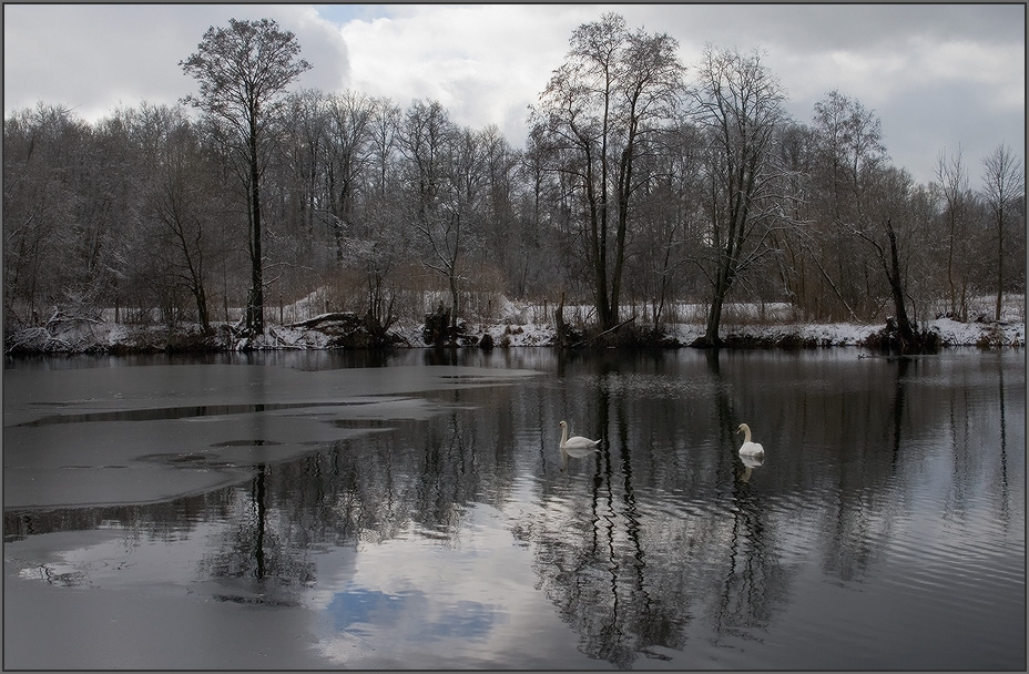 photo "The first frost." tags: landscape, water