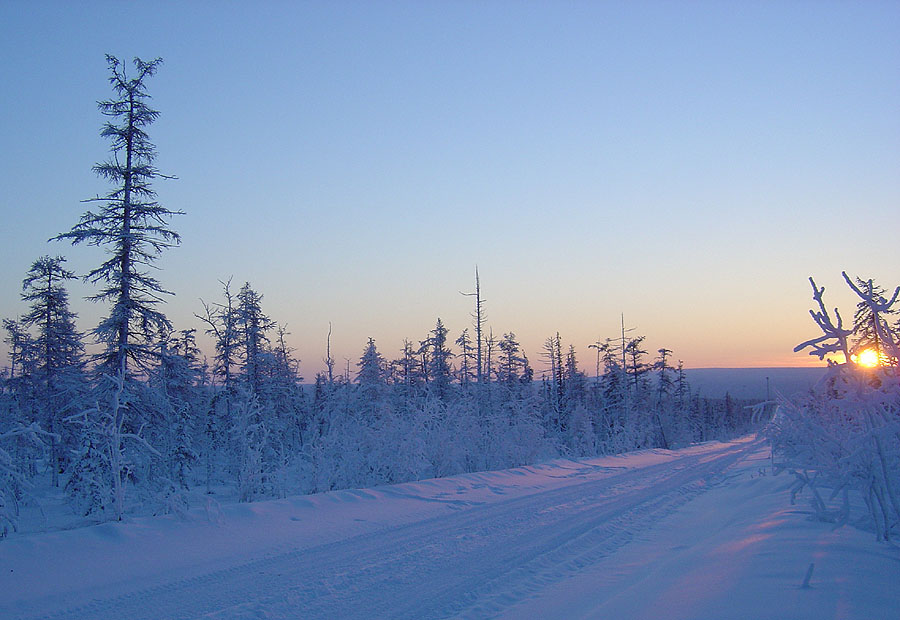 photo "***" tags: landscape, forest, winter