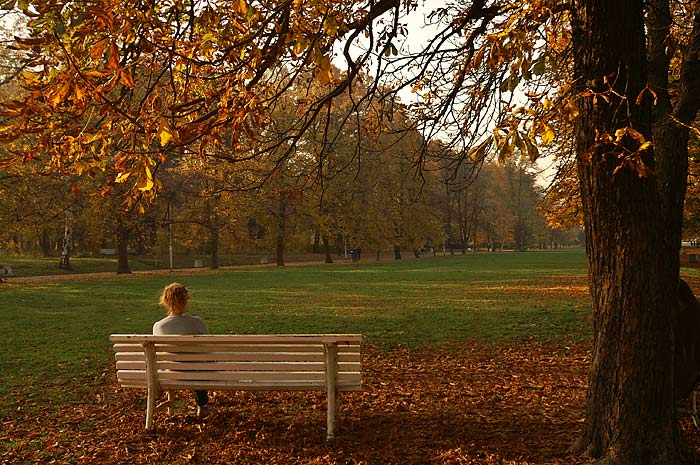 фото "The autumn's resound" метки: пейзаж, осень