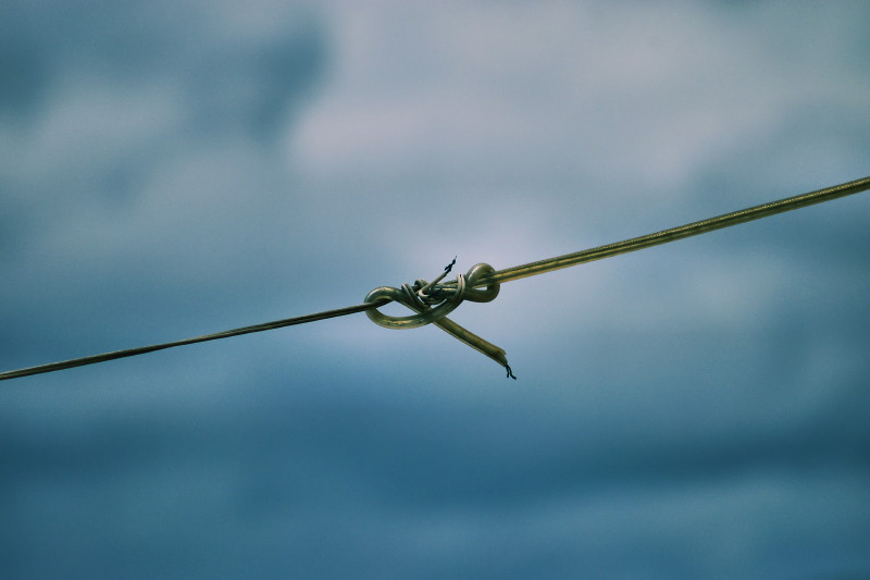 photo "TIED TO THE SKY" tags: misc., still life, 