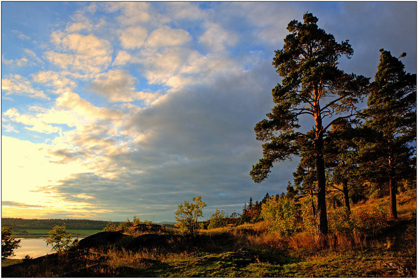 photo "On high coast Airanne" tags: landscape, clouds, sunset