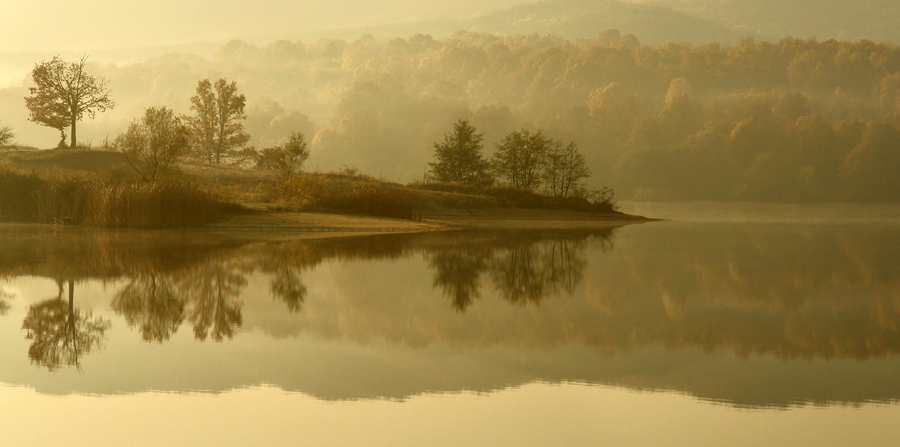 photo "***" tags: landscape, forest, water