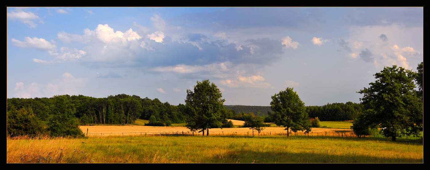 photo "Black Perigord" tags: landscape, panoramic, summer