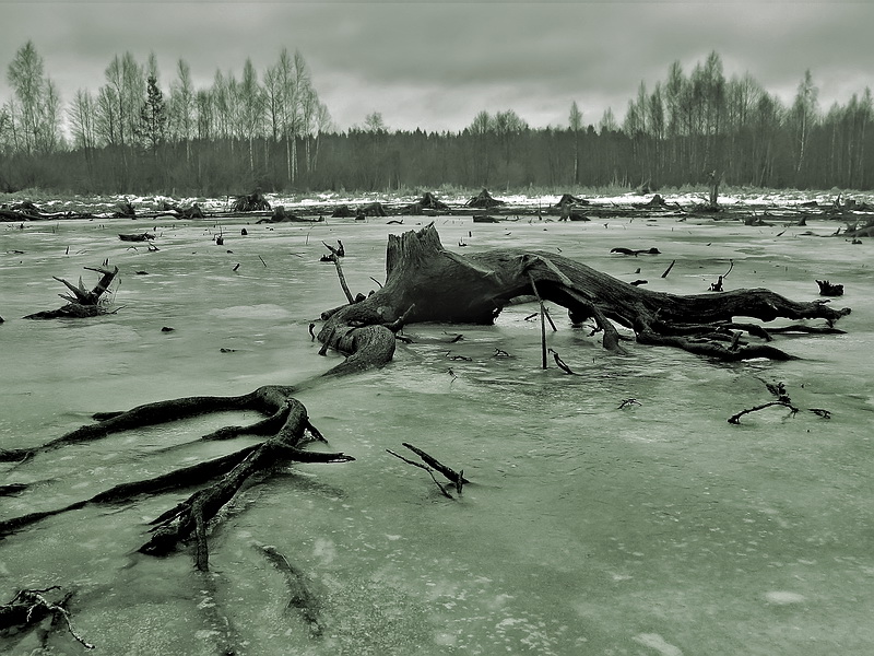 фото "Пластун" метки: пейзаж, зима