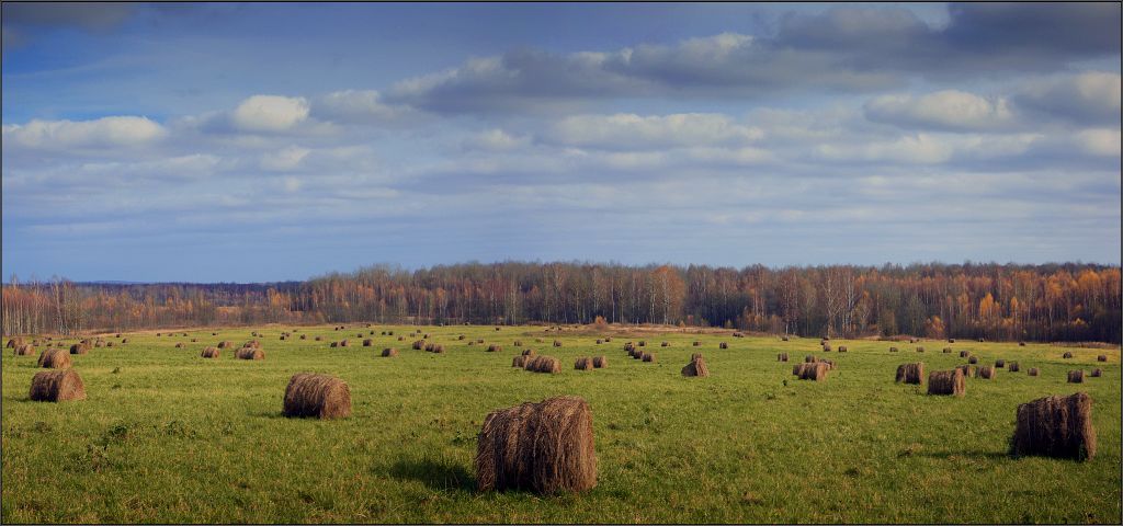 фото "Осеннее войско" метки: панорама, пейзаж, осень