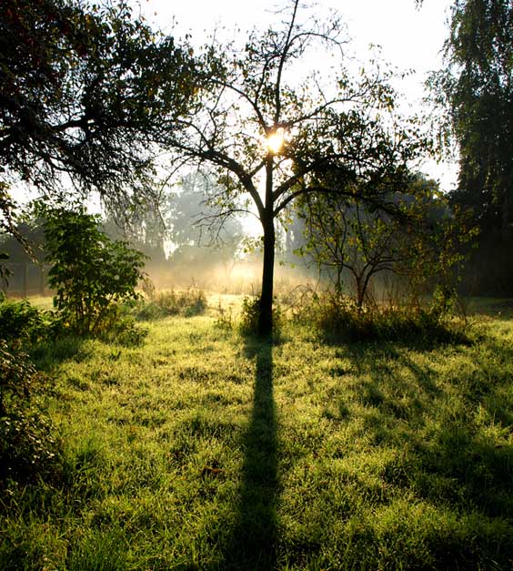 photo "And in the morning mist trail ..." tags: landscape, autumn