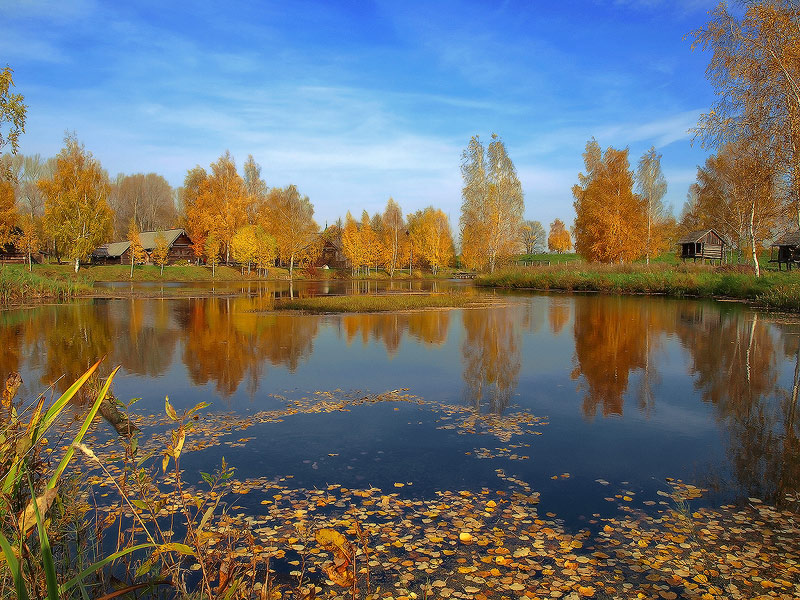 photo "***" tags: landscape, autumn