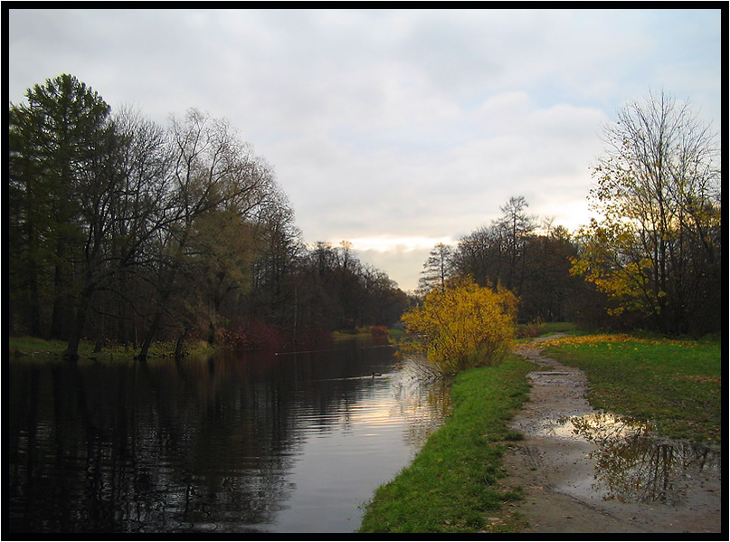 photo "A Little Light in the Most Dark Day" tags: landscape, autumn