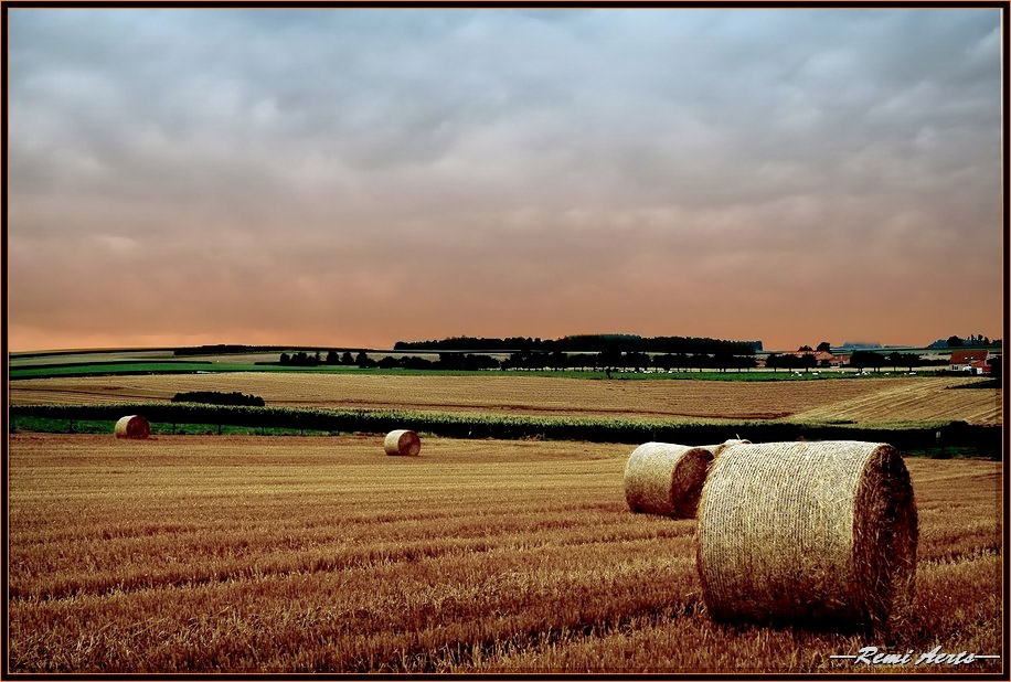 photo "thick straw rolls" tags: landscape, reporting, summer